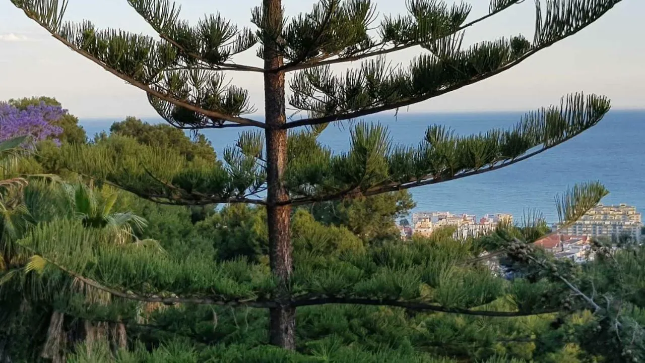 Rentcostadelsol Villa Pinares-Malaga